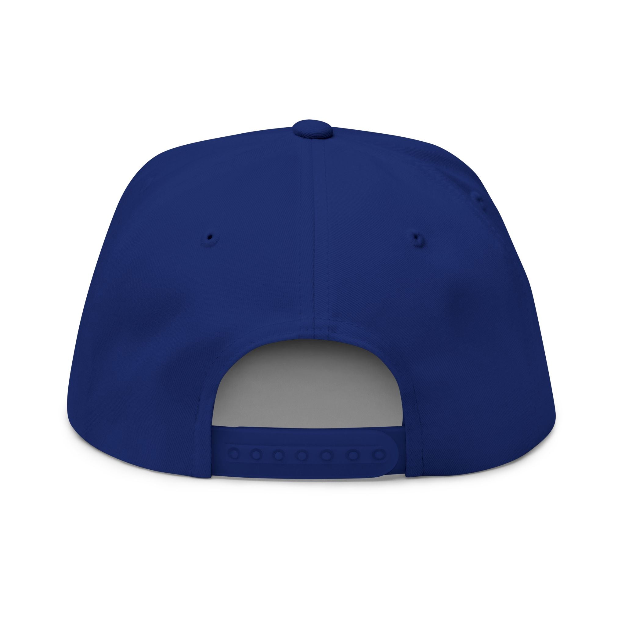 Make America Sane Again Snapback