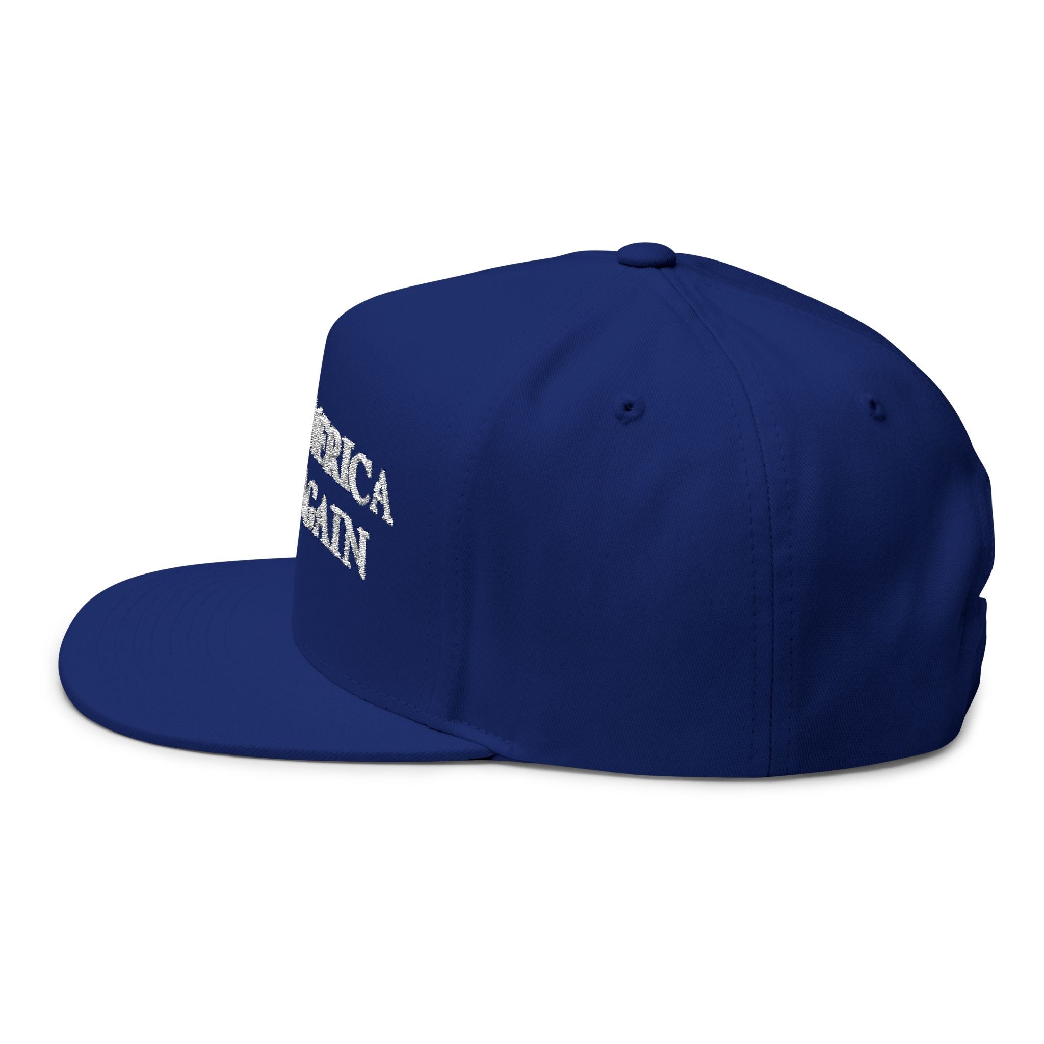 Make America Sane Again Snapback